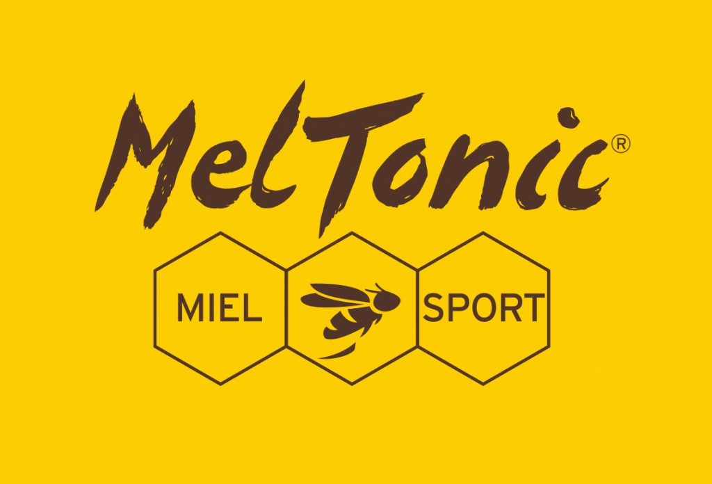 Logo MELTONIC